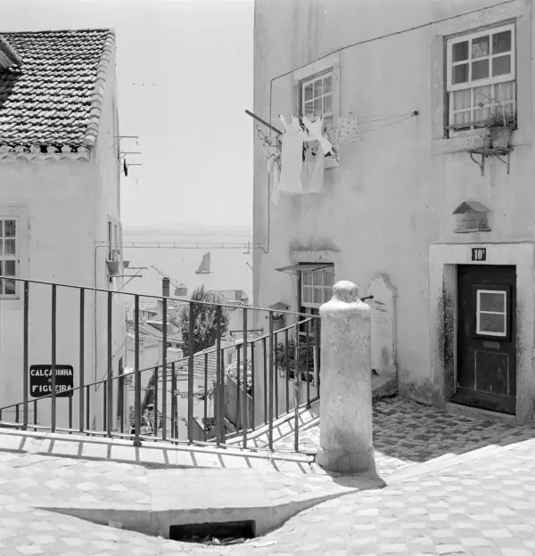 calcadinha_da_figueira