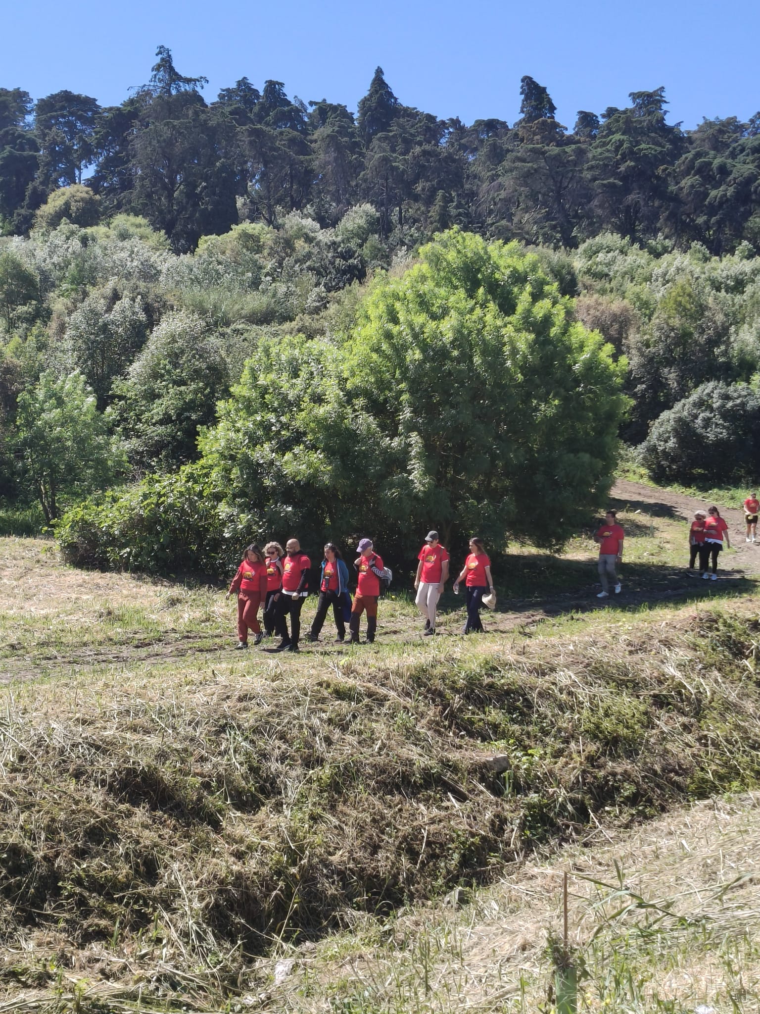 WhatsApp Image 2026-03-29 at 11.56.44 (2)