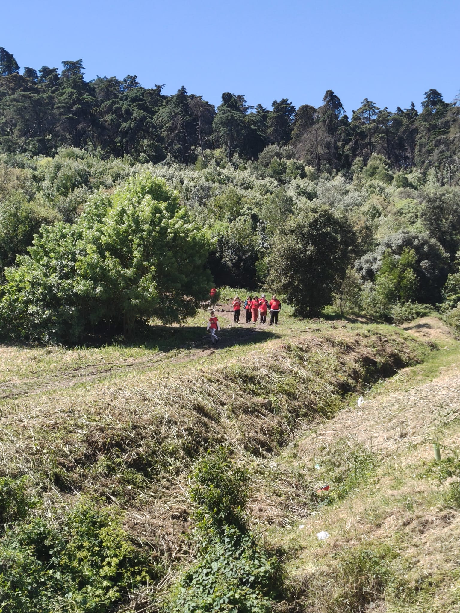 WhatsApp Image 2026-03-29 at 11.56.44 (3)