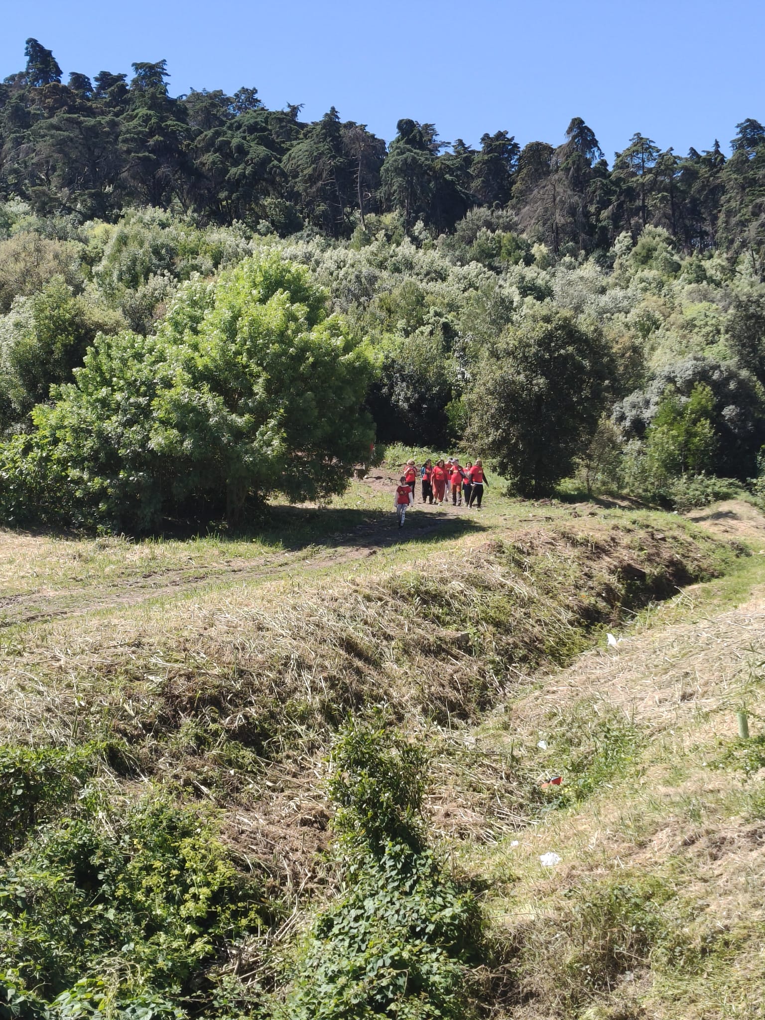 WhatsApp Image 2026-03-29 at 11.56.44 (4)