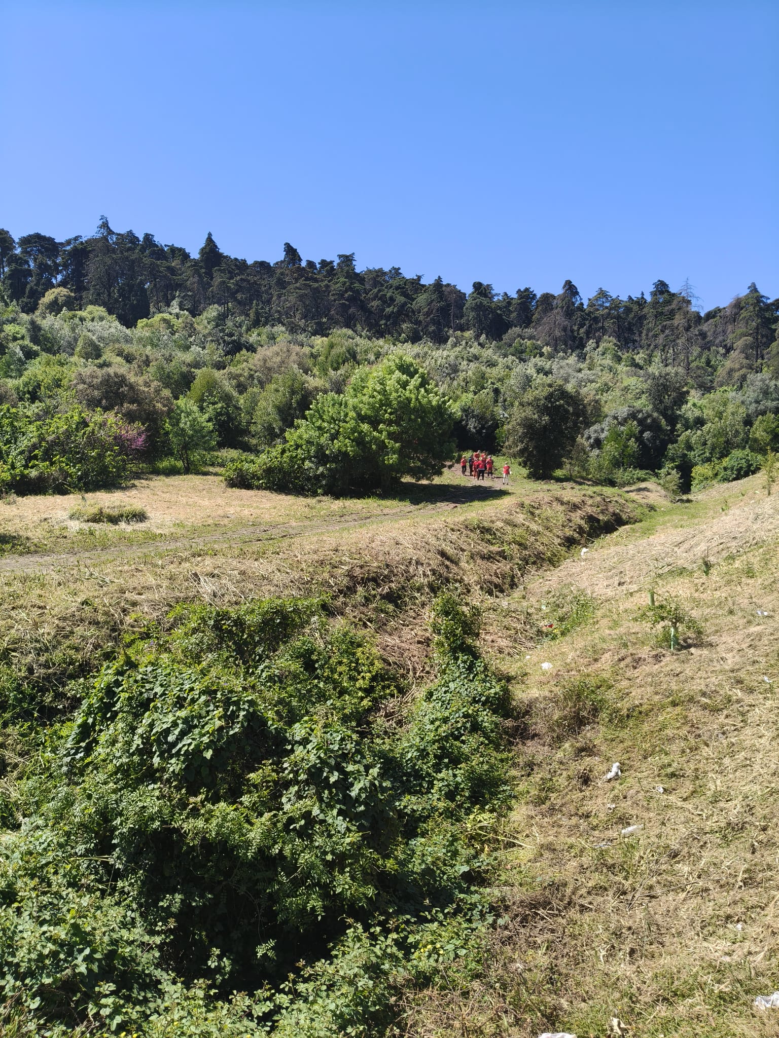 WhatsApp Image 2026-03-29 at 11.56.44 (5)