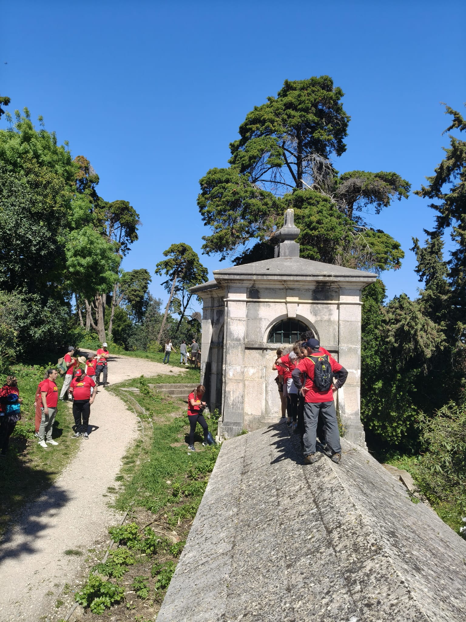 WhatsApp Image 2026-03-29 at 11.56.44 (6)