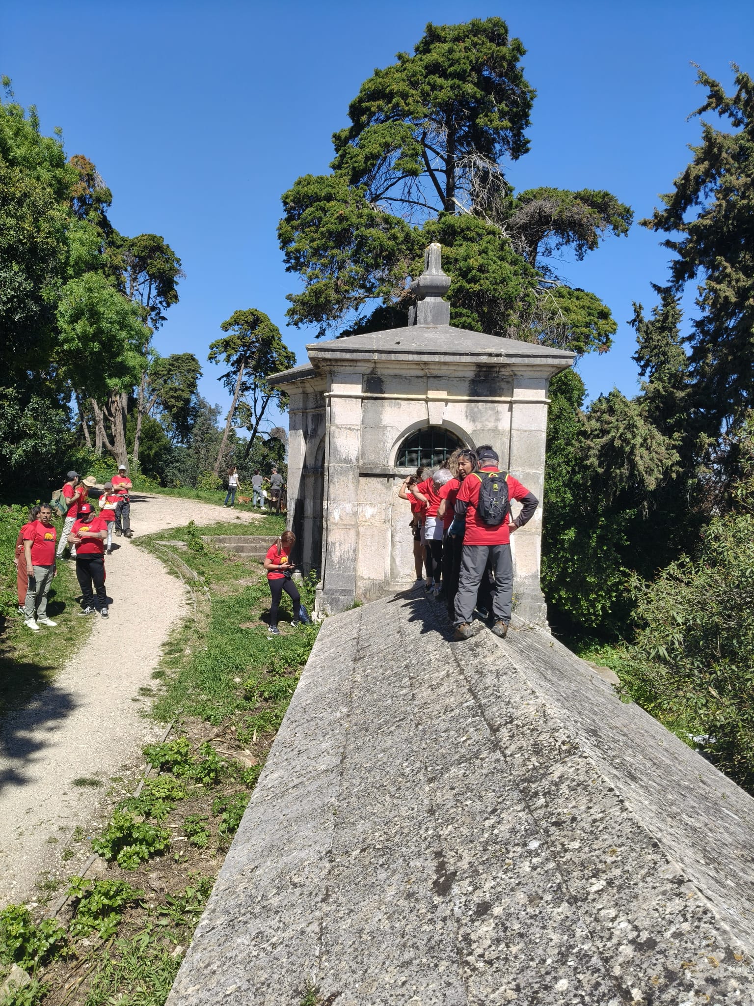 WhatsApp Image 2026-03-29 at 11.56.44 (7)