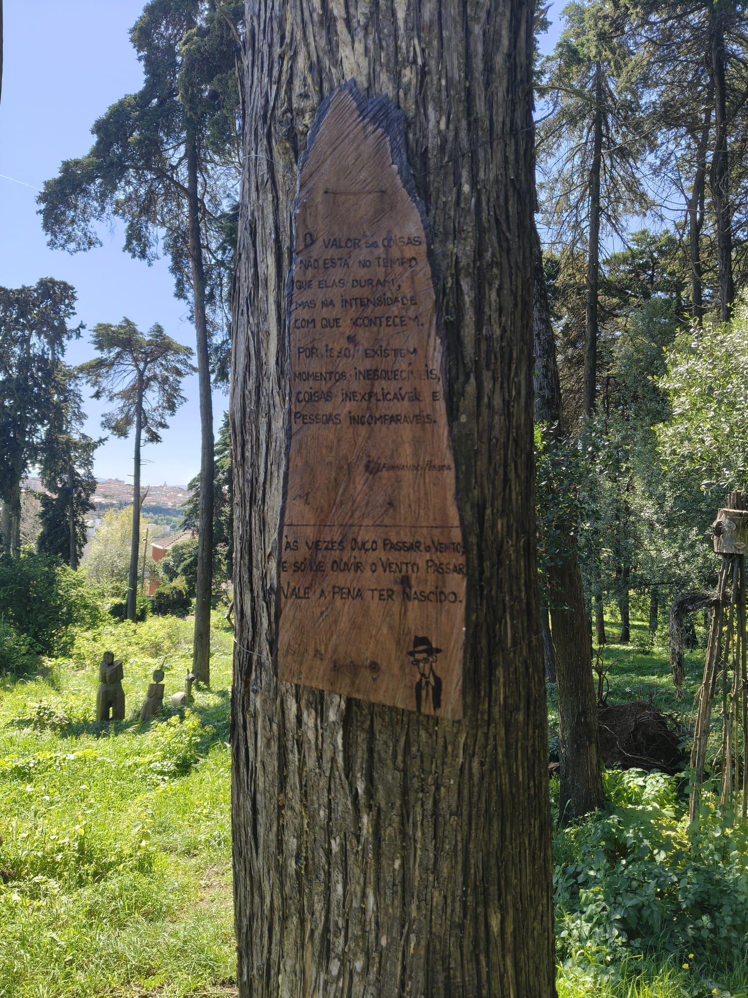 WhatsApp Image 2026-03-29 at 11.56.45 (1)