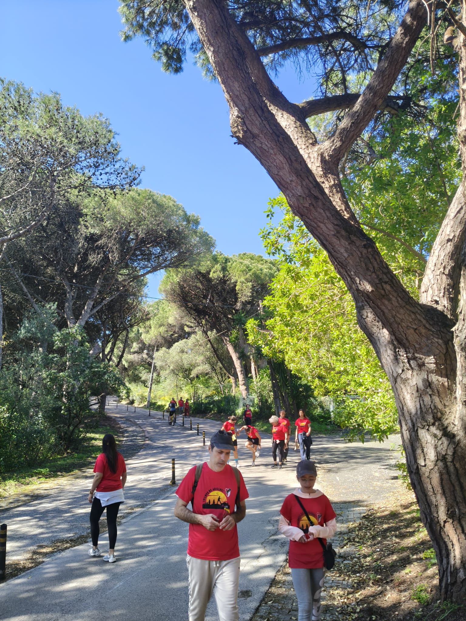 WhatsApp Image 2026-03-29 at 11.56.45 (8)