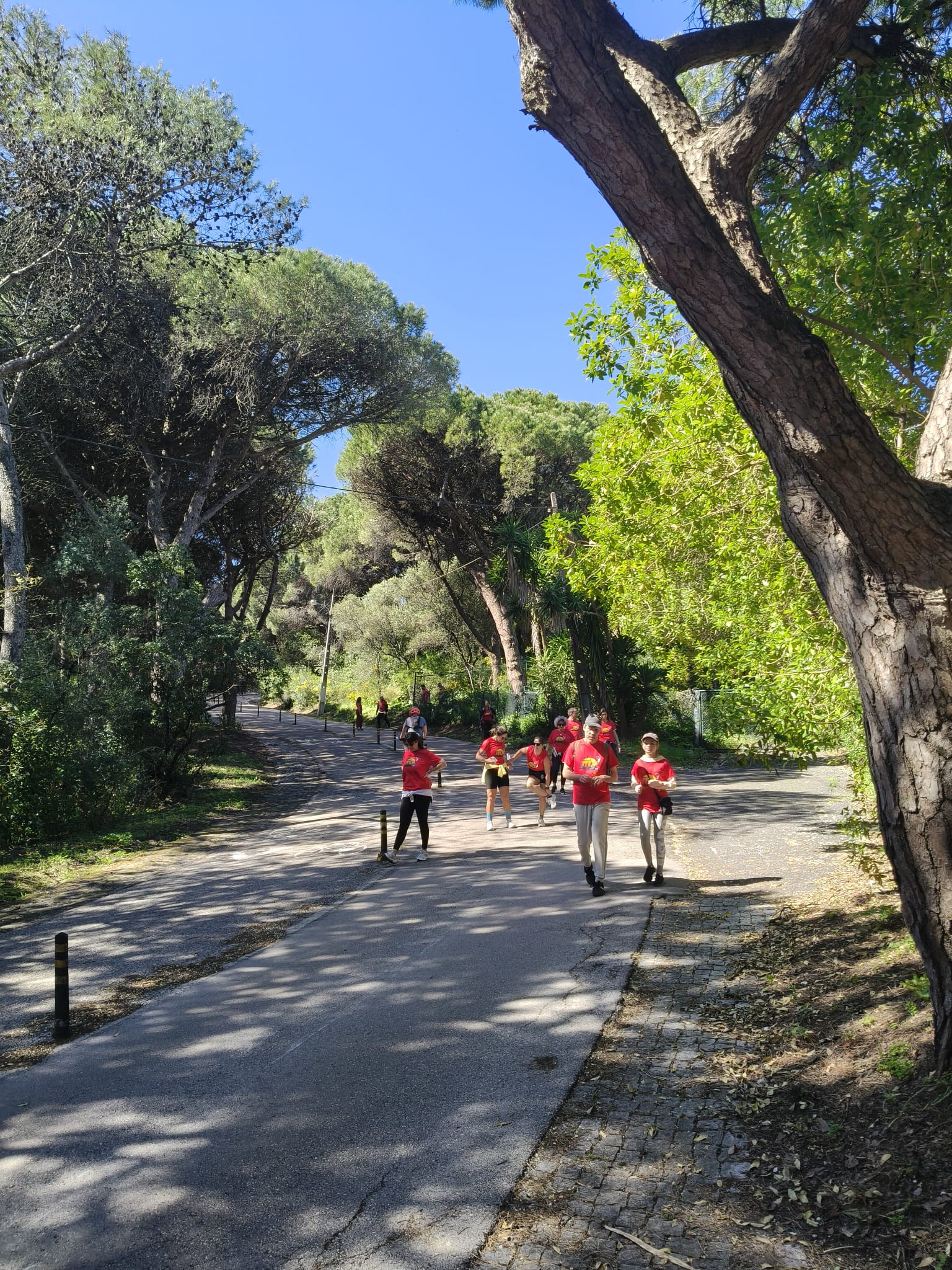 WhatsApp Image 2026-03-29 at 11.56.45 (9)