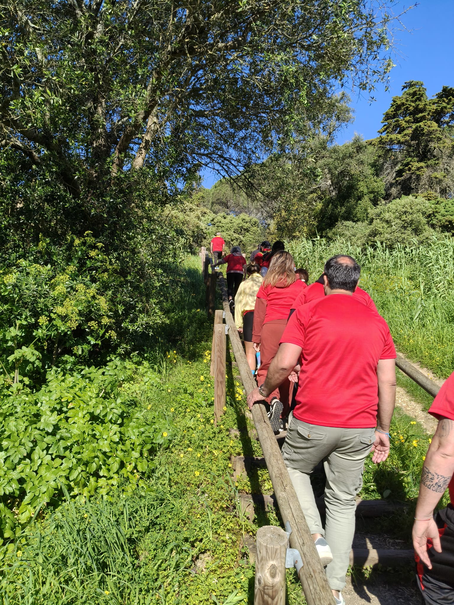 WhatsApp Image 2026-03-29 at 11.56.46 (1)