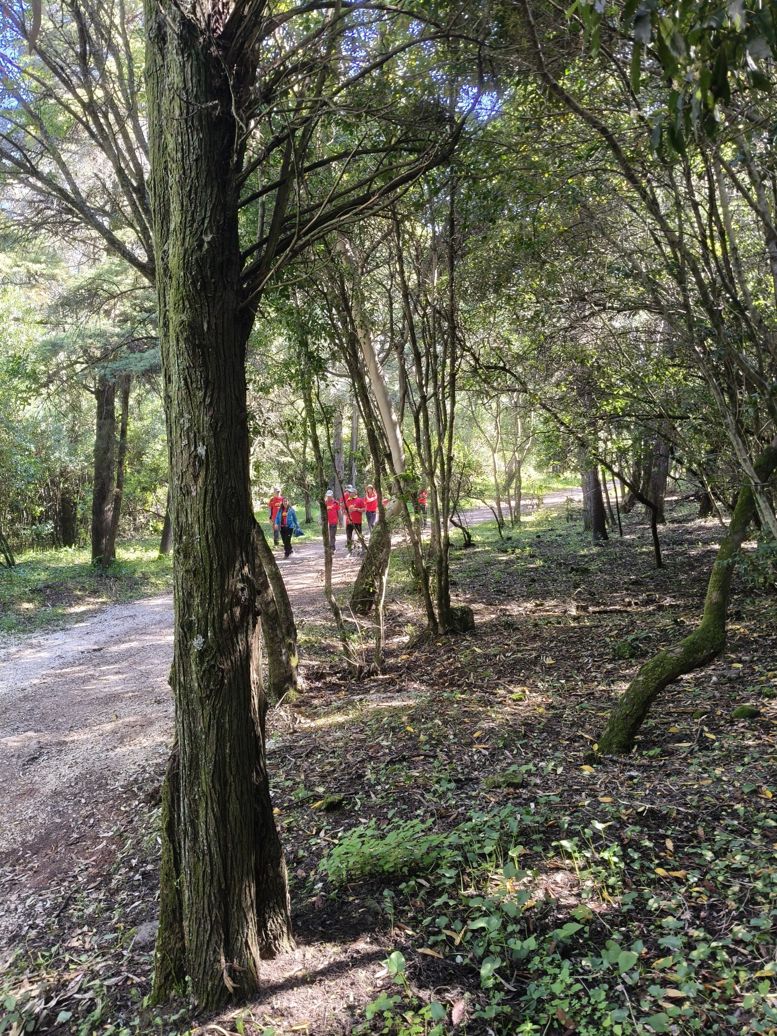 WhatsApp Image 2026-03-29 at 11.56.46 (10)