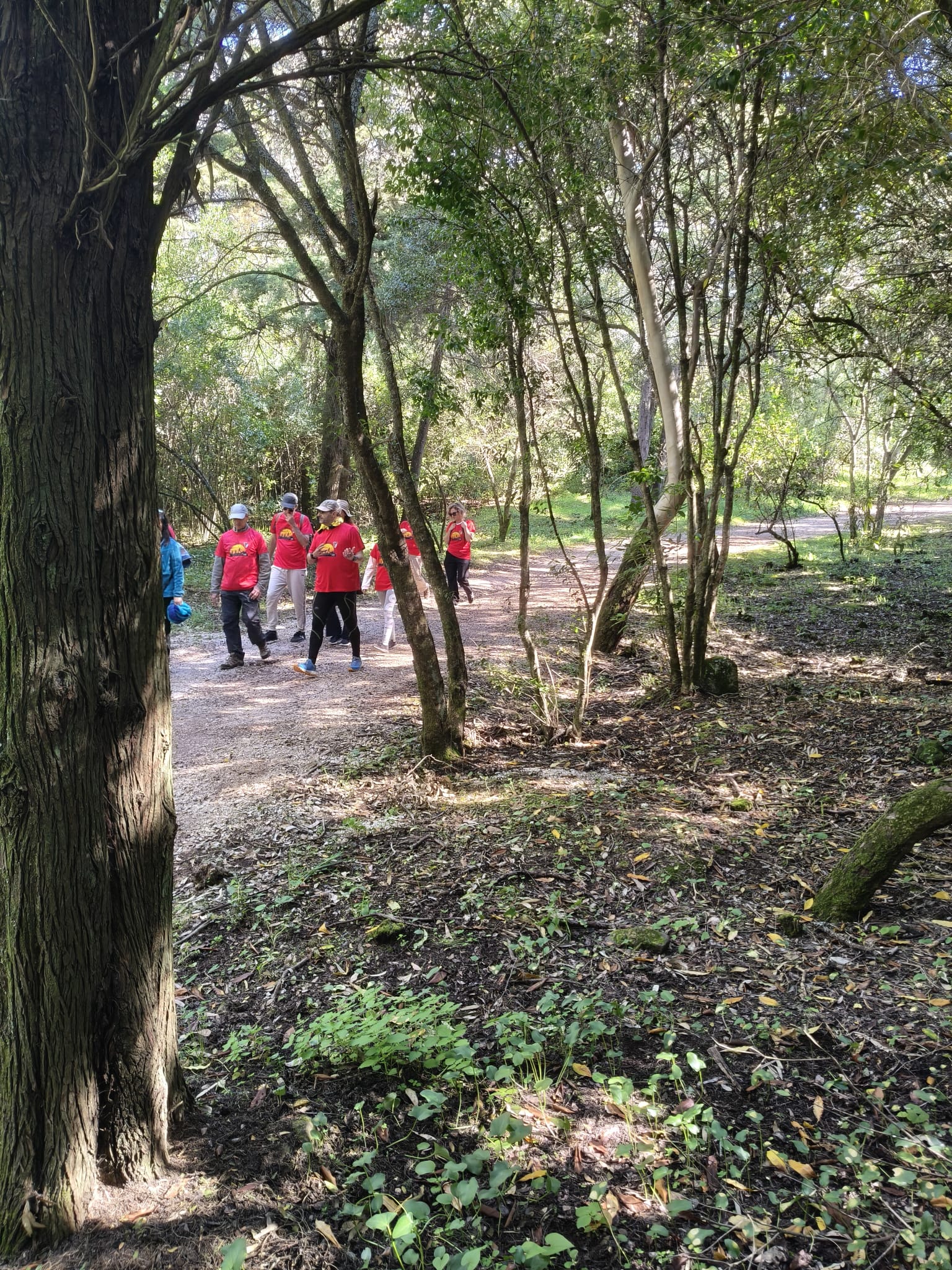 WhatsApp Image 2026-03-29 at 11.56.46 (12)