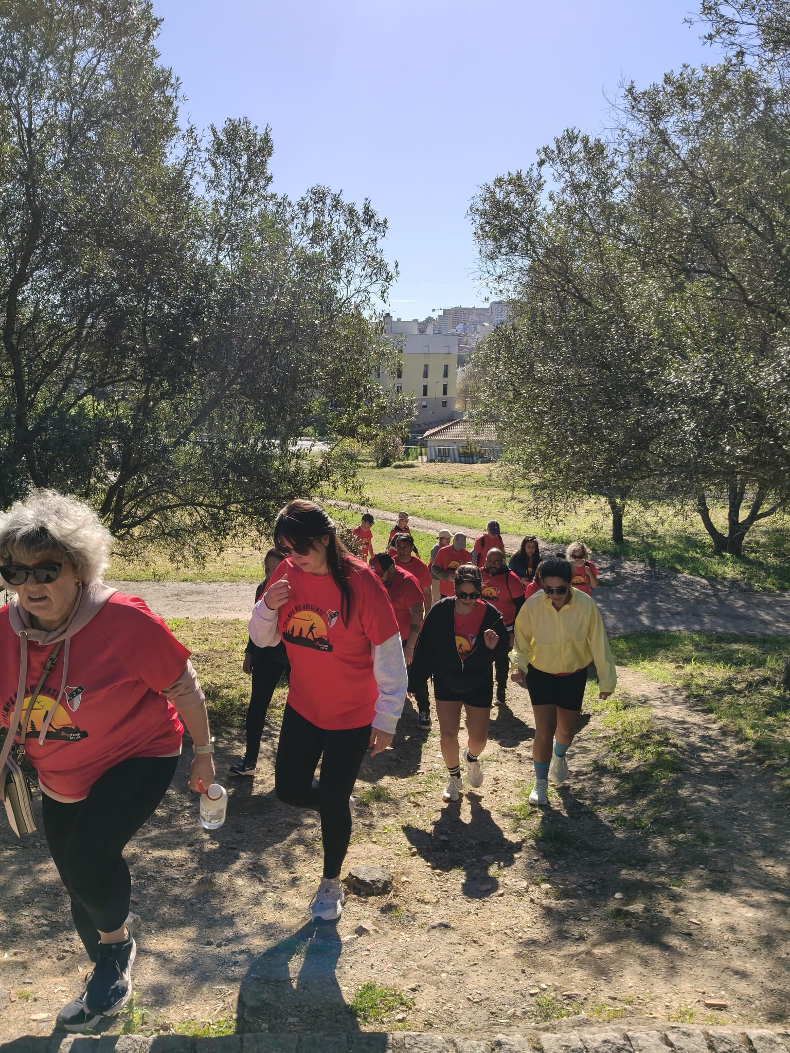 WhatsApp Image 2026-03-29 at 11.56.46 (2)