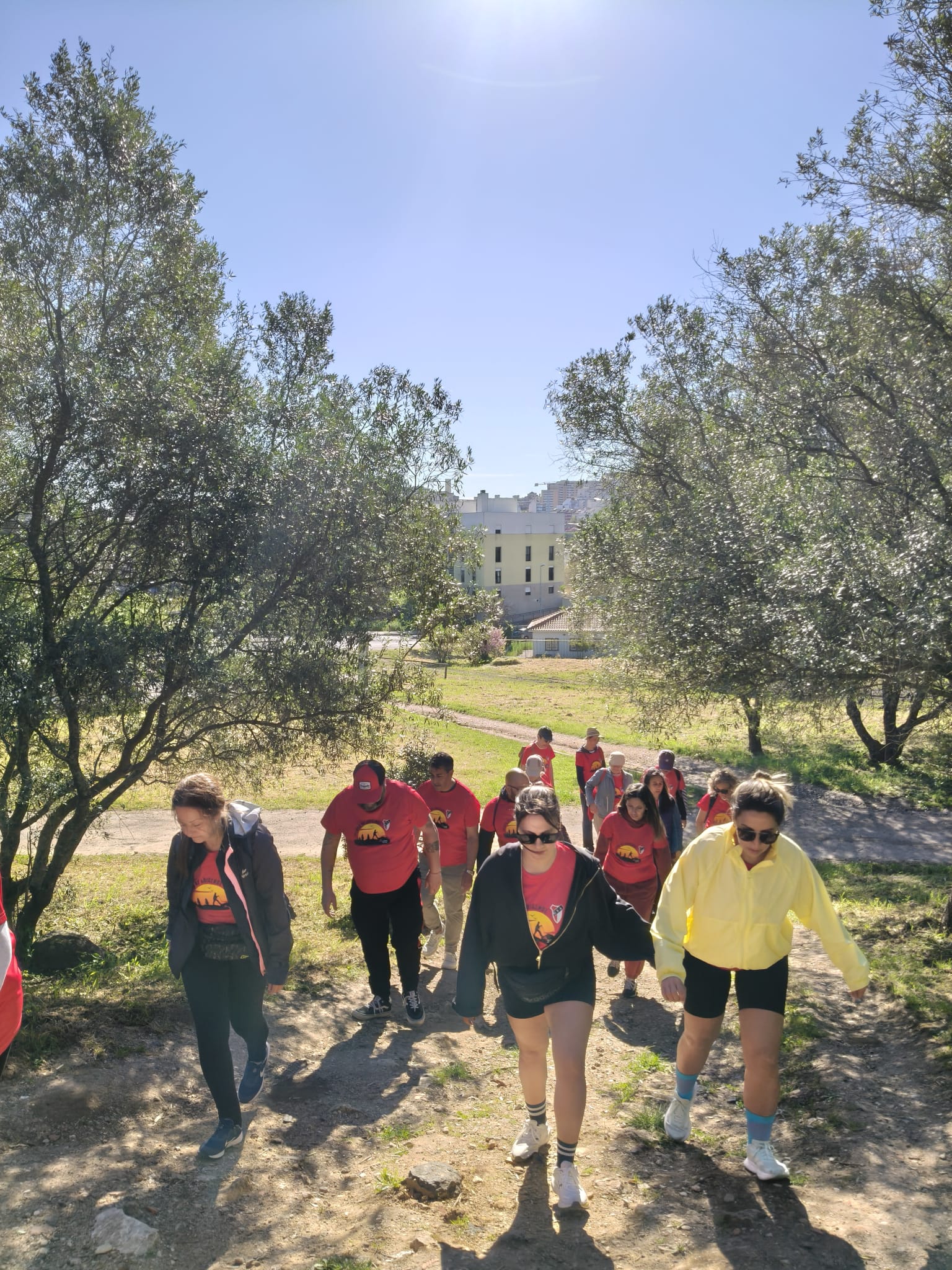 WhatsApp Image 2026-03-29 at 11.56.46 (3)