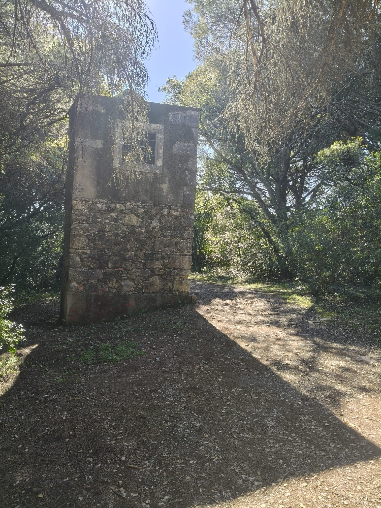 WhatsApp Image 2026-03-29 at 11.56.46 (5)