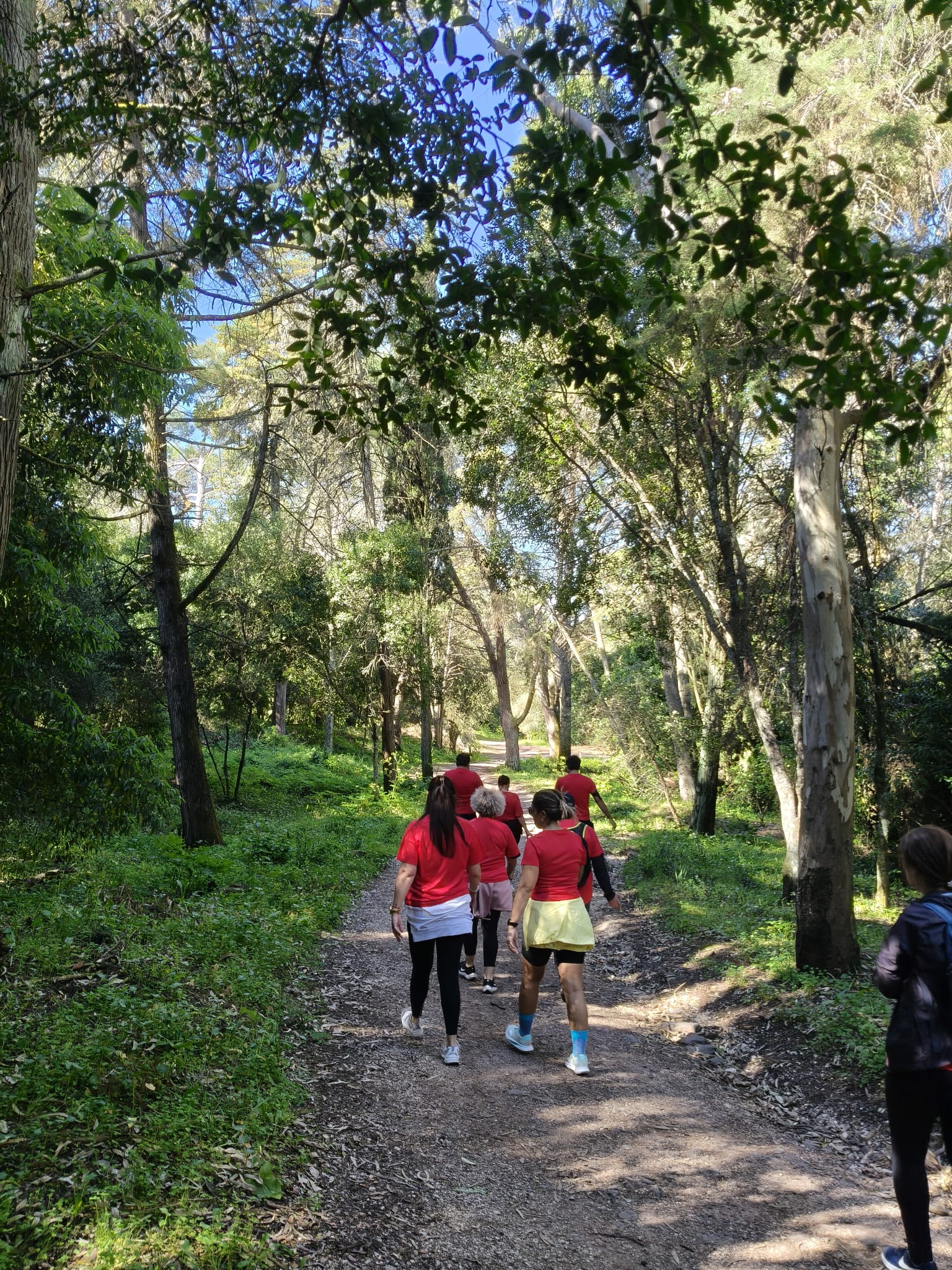 WhatsApp Image 2026-03-29 at 11.56.46 (8)