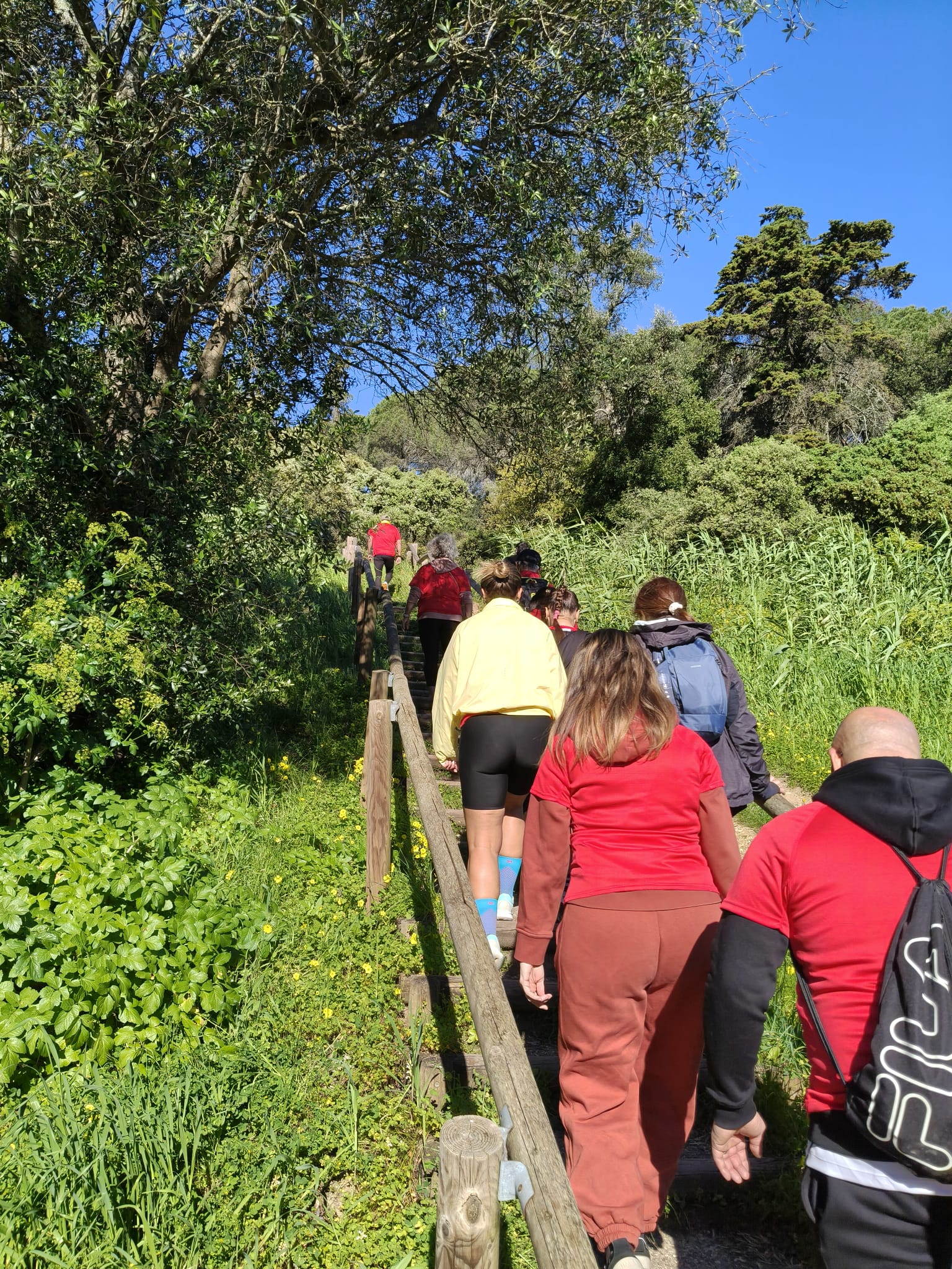 WhatsApp Image 2026-03-29 at 11.56.46